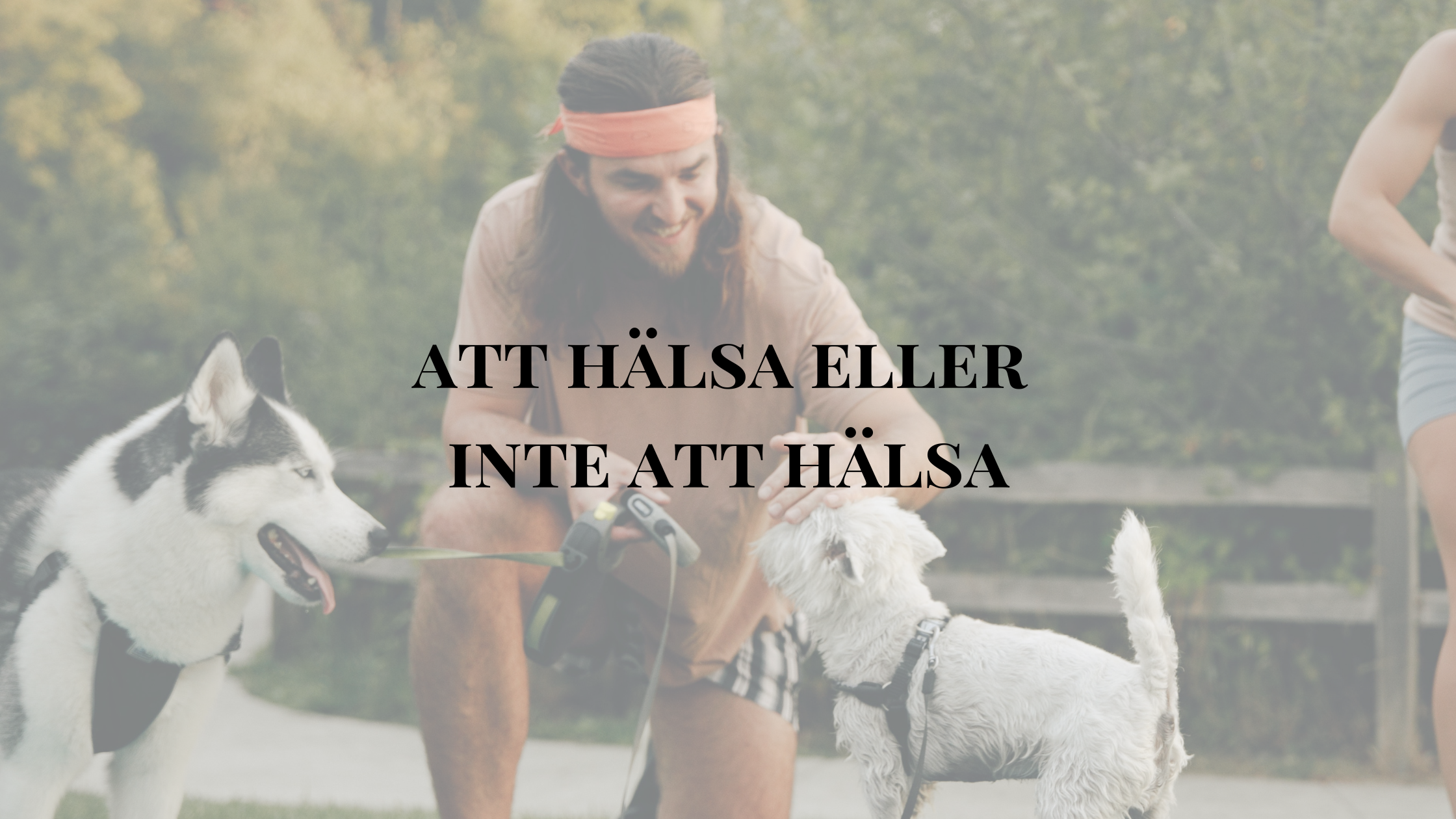 hälsa