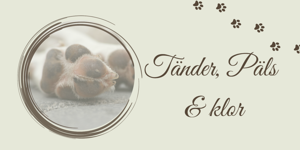 TÄNDER